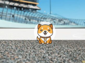 Baby Doge Coin Will Appear on NASCAR Xfinity Series