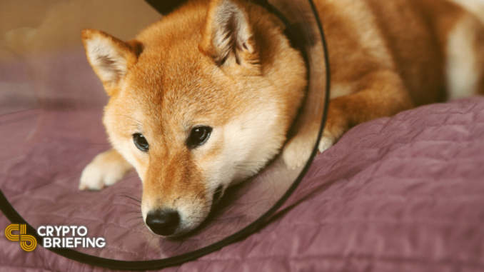 Dogecoin, Shiba Inu at Risk of Steep Correction