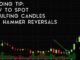 Trading Tip #13: How to Spot Engulfing Candles and Hammer Reversals