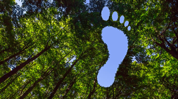 Where to buy Moss Carbon Credit as MCO2 joins bull Where to buy Moss Carbon Credit as MCO2 joins bull run