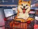 Shiba Inu eyes 'much wow' 90% breakout as SHIB price paints a textbook bull pattern