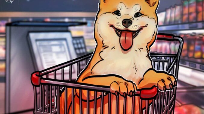Shiba Inu is now a top-20 cryptocurrency with SHIB price soaring 300% in 9 days