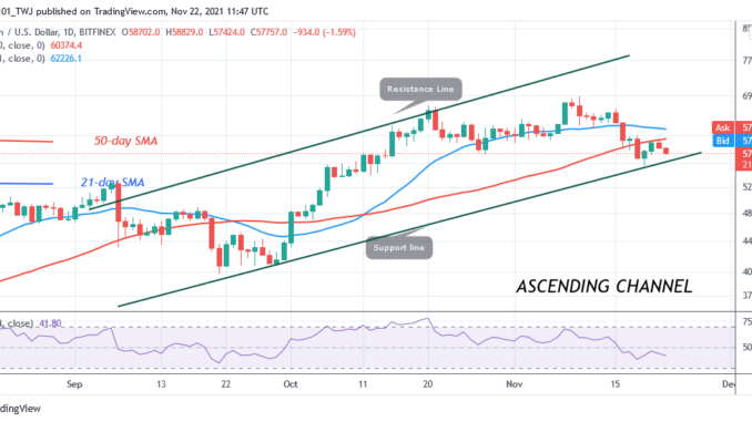 Bitcoin Hovers above $55.6k as Bitcoin Looks Oversold Bitcoin (BTC) Price Prediction: Bitcoin Hovers above $55.6k as Bitcoin Looks Oversold