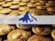 Invesco Launches Bitcoin Spot ETP With German Stock Market Operator