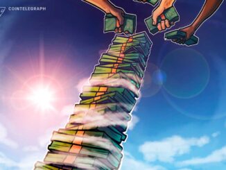 Animoca Brands' treasury increased in value by 5X over two months