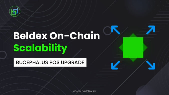 Beldex On-Chain Scalability: Bucephalus POS Upgrade Beldex On-Chain Scalability: Bucephalus POS Upgrade