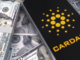 Cardano price bearish trend continues