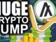 Algorand PUMPS Out Of No Where (Huge Move for Cryptocurrency OG)
