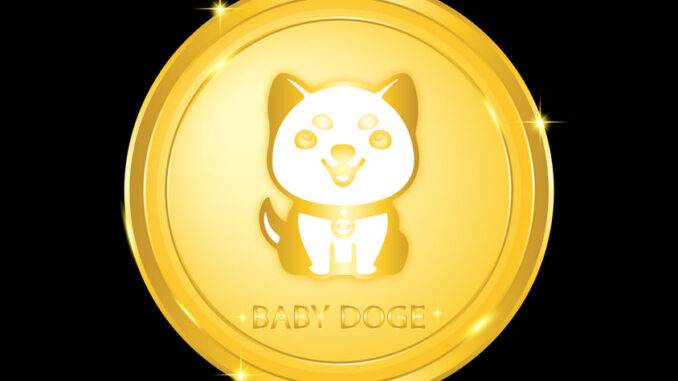 Baby Doge coin up 131% in 2 weeks as other meme coins bleed: why is it rallying?