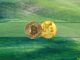 Bitcoin Tests $44K, Tesla Accepts Dogecoin, and More: This Week's Crypto Recap