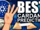 CardanoPunk 2077 (Cardano Prediction Top Three Coin )