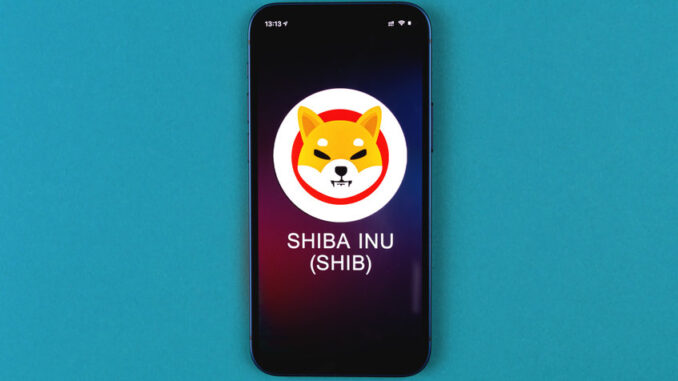 Should you buy Shiba Inu as the price get stuck along the support
