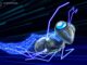 Zero-knowledge scaling tech Plonky goes live on Polygon