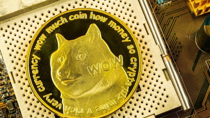 The best cryptocurrencies to invest in with $1000