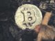 Ripple Co-Founder Donates $5M to Environmental Campaign Against Bitcoin Mining