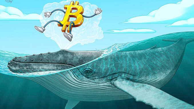 BTC price tops 10-day highs as Bitcoin whale demand sees BTC price tops 10-day highs as Bitcoin whale demand sees 'huge spike'