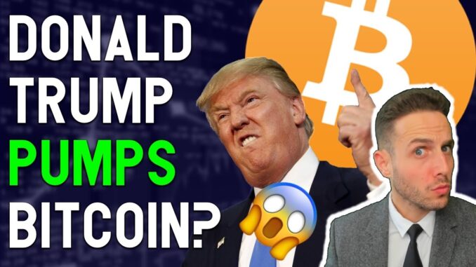 TRUMP Tweet PUMPS Bitcoin?! $2.4 BIllion BNB to be burned? Market & Portfolio Changes!