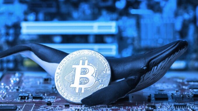 This Week on Crypto Twitter: Bitcoin Whales Buy the Dip, This Week on Crypto Twitter: Bitcoin Whales Buy the Dip, Nic Carter Defends an Investment, SBF Memed as Atlas