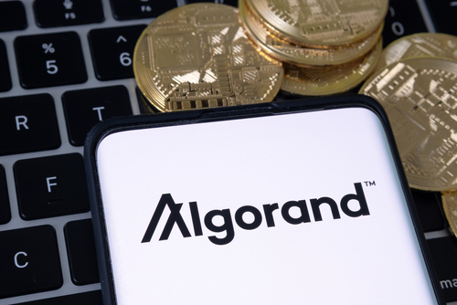 Algorand risks fresh new bottom as weakness persists after a Algorand risks fresh new bottom as weakness persists after a failed breakout