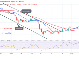 Bitcoin Price Prediction for Today August 18: BTC Price Drops as It Targets Crucial Support at $22K