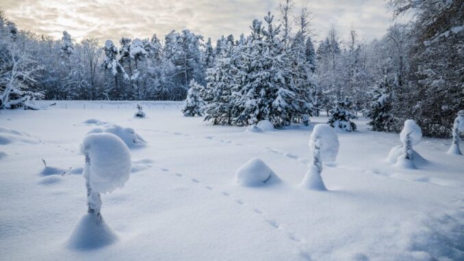 Coinbase CEO expects a slow recovery from crypto winter