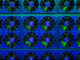 Publicly-Listed Bitcoin Miner Cleanspark’s Hashrate Exceeds 3 Exahash, Firm Records Daily Production High of 13.25 BTC