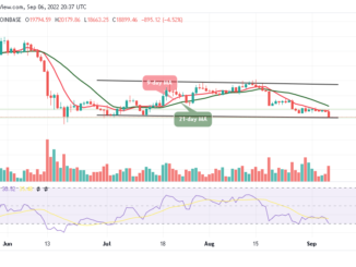 BTC Plummets Below $19,000, TAMA Explodes Skywards