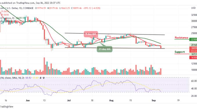 BTC Plummets Below $19,000, TAMA Explodes Skywards
