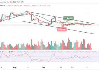 Bitcoin Price Prediction for Today, October 21: BTC/USD Finally Breaks Below $19,000