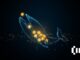 Bitcoin Whale Wakes up After a Five-Year Restful Sleep