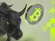Institutions Are Buying Bitcoin Despite Extreme Fear in Crypto Market