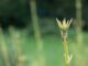 Altcoin Short Squeeze Brings Green Shoots to Dormant Crypto