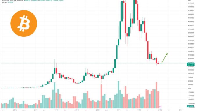 Bitcoin Price Forecasts For 2023 Are In and Here’s What The Bulls and Bears Think