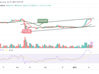 Bitcoin Price Prediction for Today, January 19, BTC/USD Trades Above $20,800