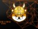 Floki announces partnership with Binance Pay