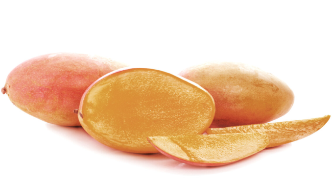 Mango Labs Sues Avraham Eisenberg Over Mango Markets Exploit