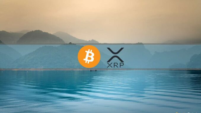 XRP Rally Cools Off, MicroStrategy Buys More BTC, Market Calms XRP Rally Cools Off, MicroStrategy Buys More BTC, Market Calms Down: This Week's Crypto Recap