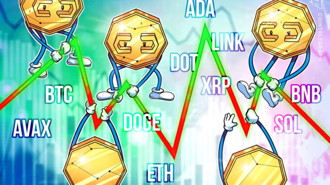 BTC, ETH, BNB, SOL, XRP, ADA, AVAX, DOGE, DOT, LINK