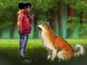 Dogecoin hits 7-day high as ‘XPayments’ account gains 100K followers in a day