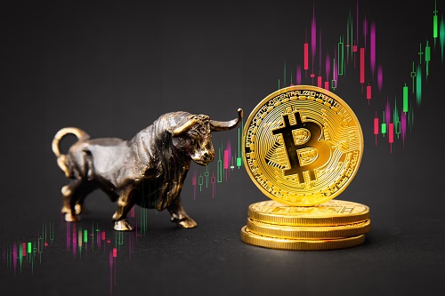 Pullix (PLX) price outlook as investors savour bullish market Pullix (PLX) price outlook as investors savour bullish market