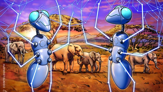 Web3 faces regulatory hurdles in Africa, slowing progress