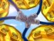 What are the top 5 crypto sectors to follow in 2024?