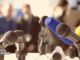 Crypto Briefing appoints new AI-first CEO