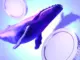 One Crypto Whale Behind the Meme Coin BEER’s Pump