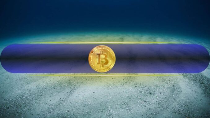 Bitcoin’s Price May Have Bottomed Out, But There’s a Catch: CryptoQuant