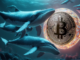 Another Satoshi-Era Bitcoin Whale Is Moving Coins After 15 Years