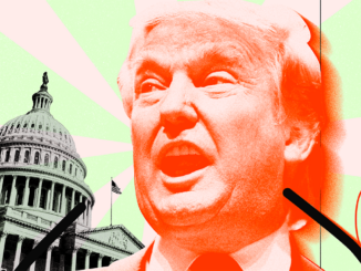 Donald Trump-Themed Meme Coins in Freefall Following Fiery Debate With Kamala Harris