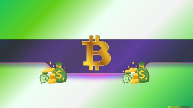 No Bitcoin HODLer is Currently Losing Money: Data No Bitcoin HODLer is Currently Losing Money: Data
