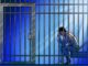 Court prolongs Tornado Cash developer Pertsev’s pre-trial detention
