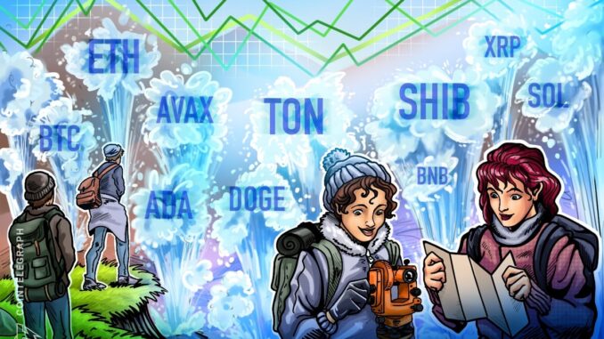 BTC, ETH, SOL, BNB, XRP, DOGE, ADA, AVAX, TON, SHIB